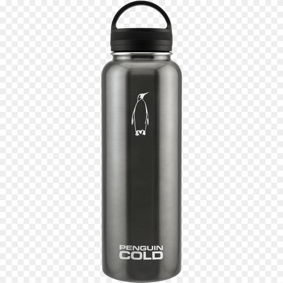 Water Bottle, Water Bottle, Animal, Bird, Penguin Free Png