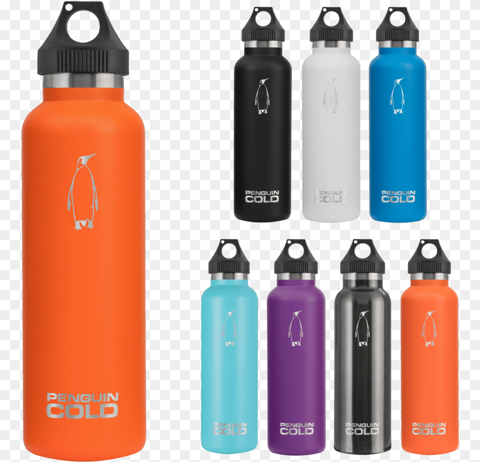 Water Bottle, Water Bottle, Shaker, Animal, Bird Free Transparent Png