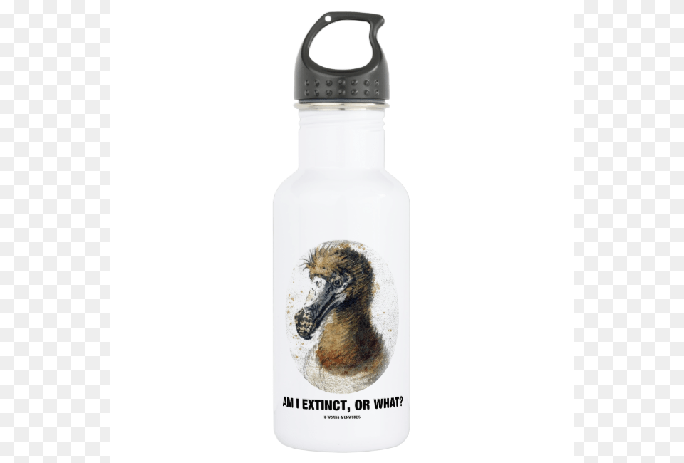Water Bottle Lost Masterpiece Series One Mousepad, Water Bottle, Animal, Bird, Shaker Free Png