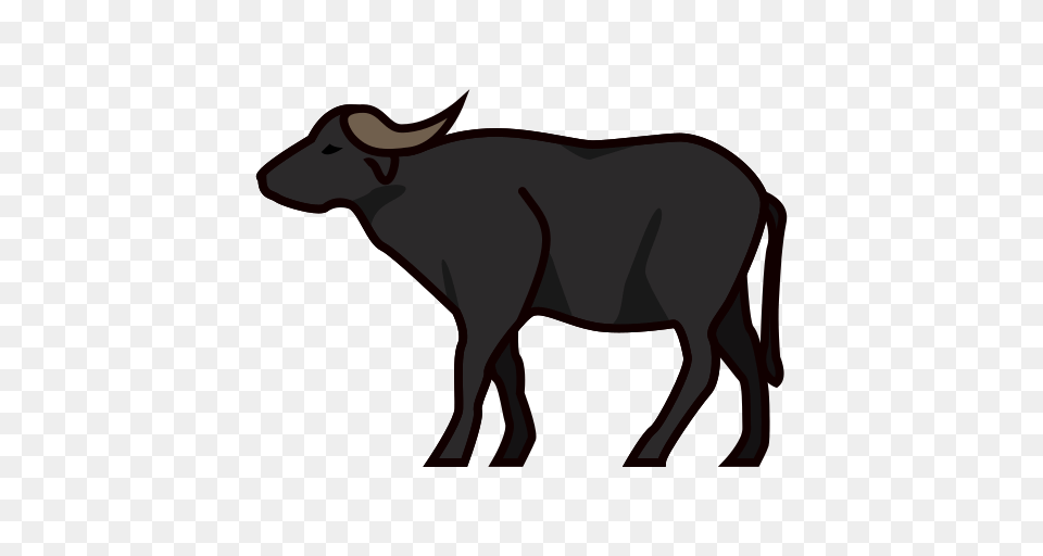 Water Buffalo, Animal, Bull, Cattle, Livestock Free Png Download