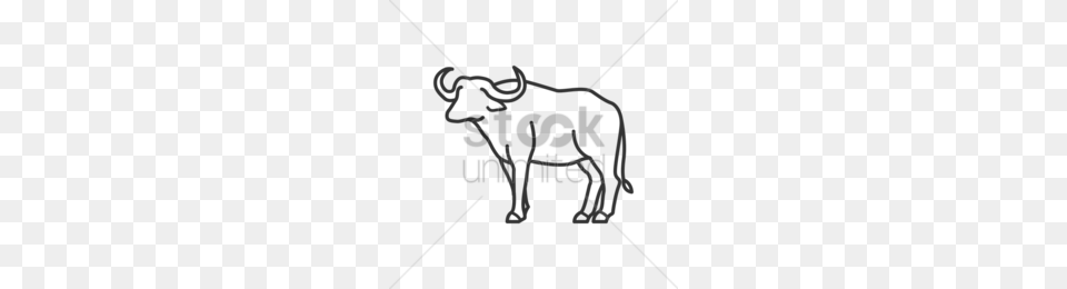 Water Buffalo Black And White Clipart, Accessories, People, Person Png Image