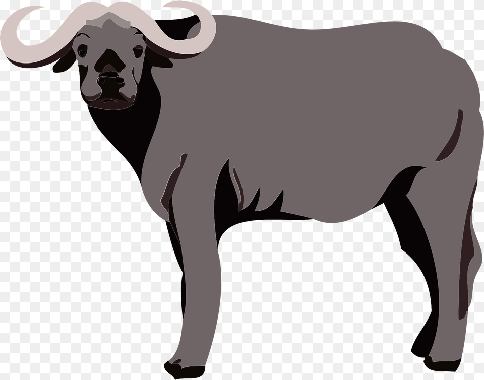 Water Buffalo Clipart, Animal, Mammal, Wildlife, Bull Free Transparent Png