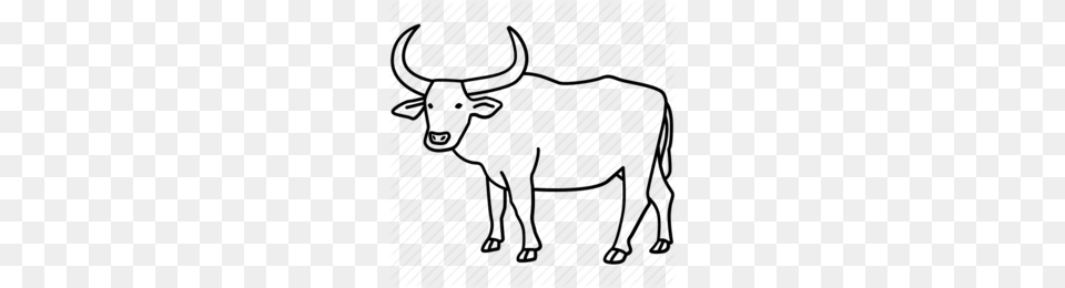 Water Buffalo Clipart, Animal, Bull, Cattle, Livestock Png Image