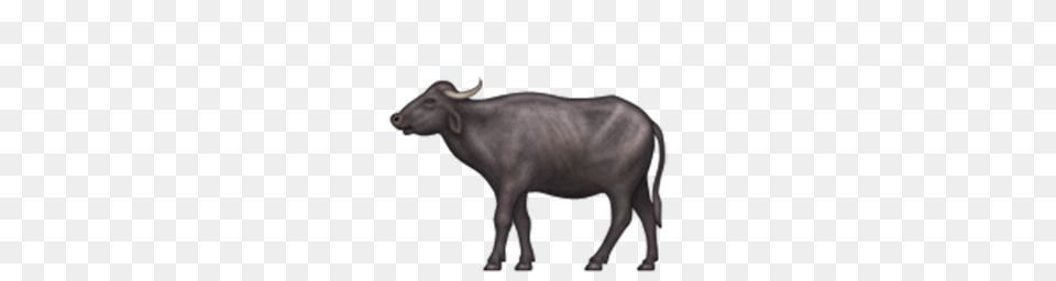 Water Buffalo Emoji For Facebook Email Sms Id, Animal, Bull, Cattle, Livestock Free Png Download