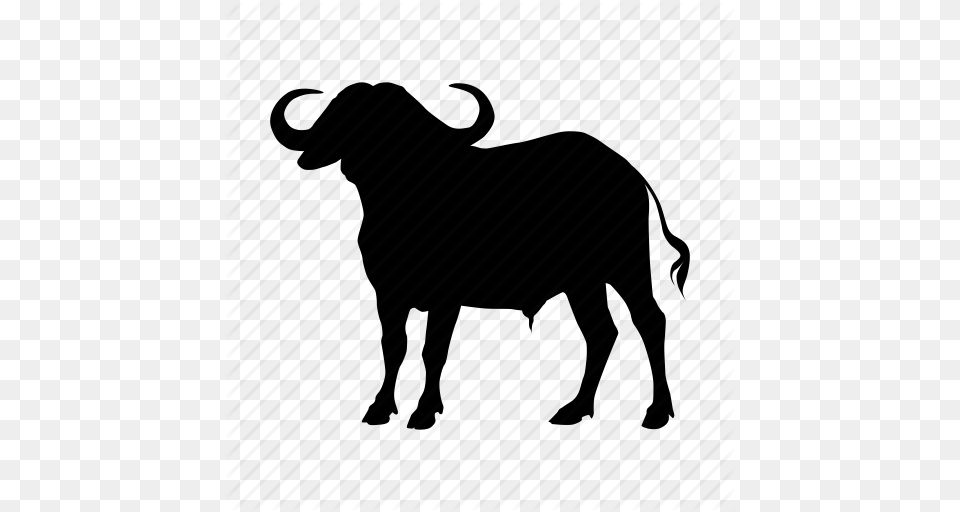 Water Buffalo Transparent, Animal, Bull, Mammal, Silhouette Free Png