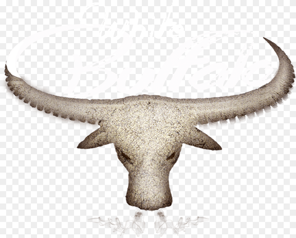 Water Buffalo Water Buffalo, Animal, Dinosaur, Reptile Free Png