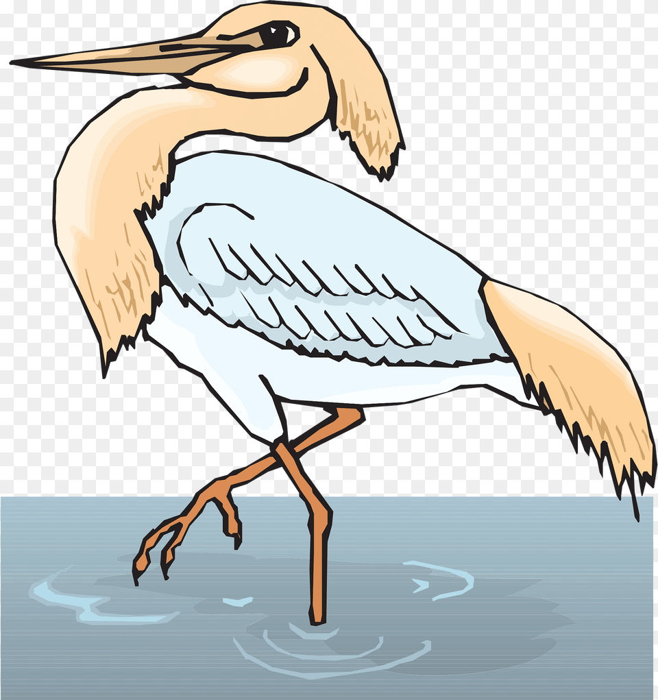 Water Clipart, Animal, Stork, Waterfowl, Crane Bird Png Image