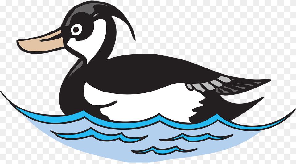 Water Clipart, Animal, Bird, Duck, Fish Free Transparent Png