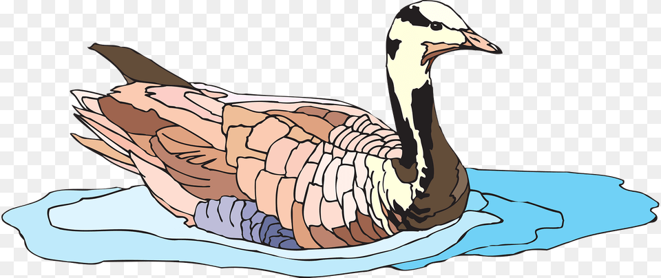 Water Clipart, Animal, Bird, Goose, Waterfowl Free Png