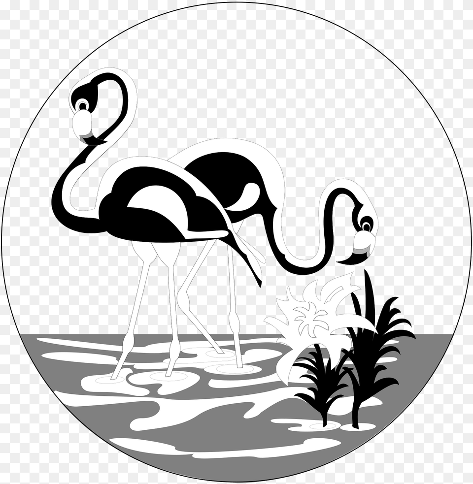 Water Clipart, Animal, Bird, Flamingo Free Png Download