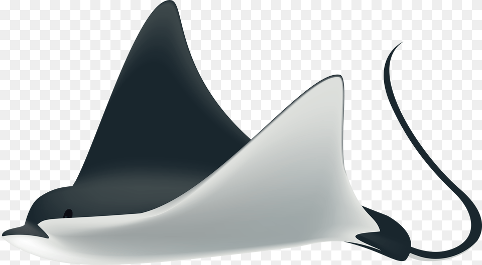 Water Clipart Shark Transparent For Ray Fish, Animal, Manta Ray, Sea Life Free Png Download