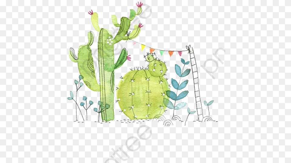 Water Color Cactus, Plant, Pattern Free Png Download