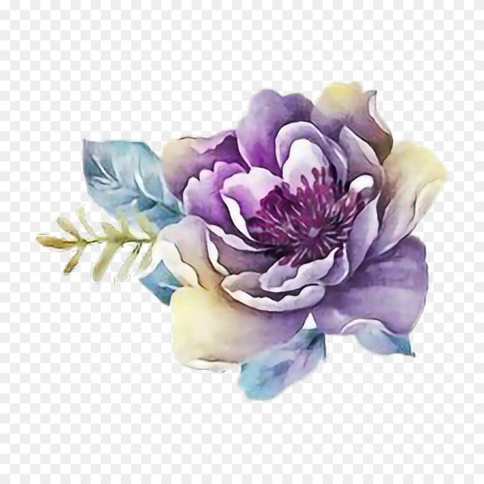 Water Color Flowers Purple Watercolor Flower, Plant, Petal, Rose, Pattern Png Image