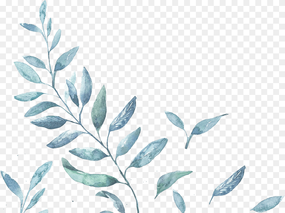 Water Color Leaves Twig, Leaf, Plant, Art, Pattern Png Image