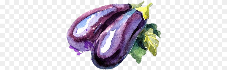 Water Color Of Vegetables, Food, Produce, Eggplant, Plant Png