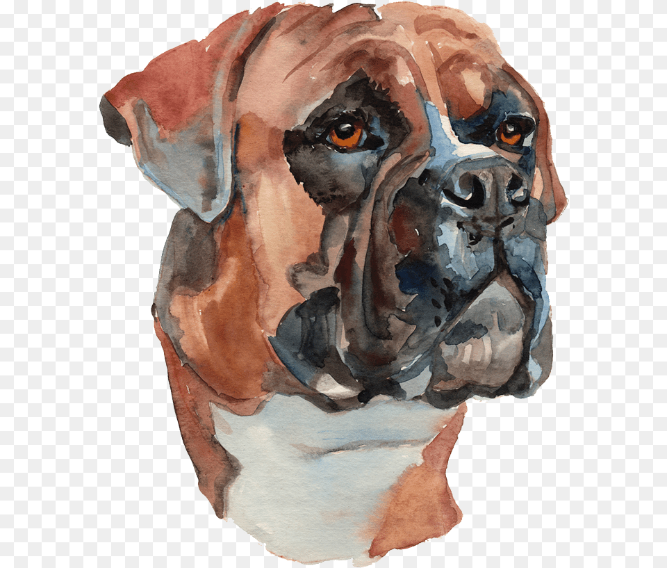 Water Color Painted Dog Dog Water Painting, Pet, Animal, Boxer, Bulldog Png