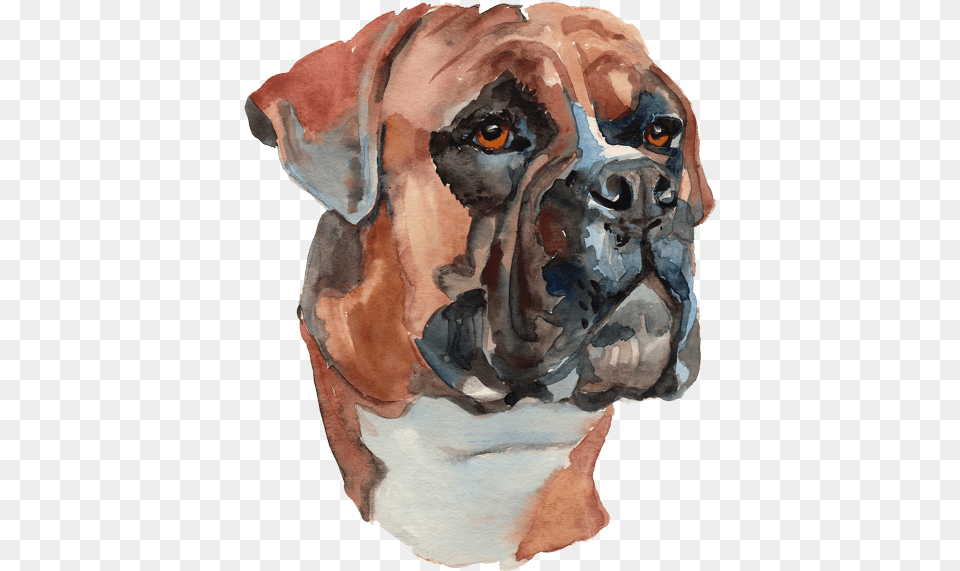 Water Color Painted Dog Hand Painted Boxer Dog, Animal, Bulldog, Canine, Mammal Free Png