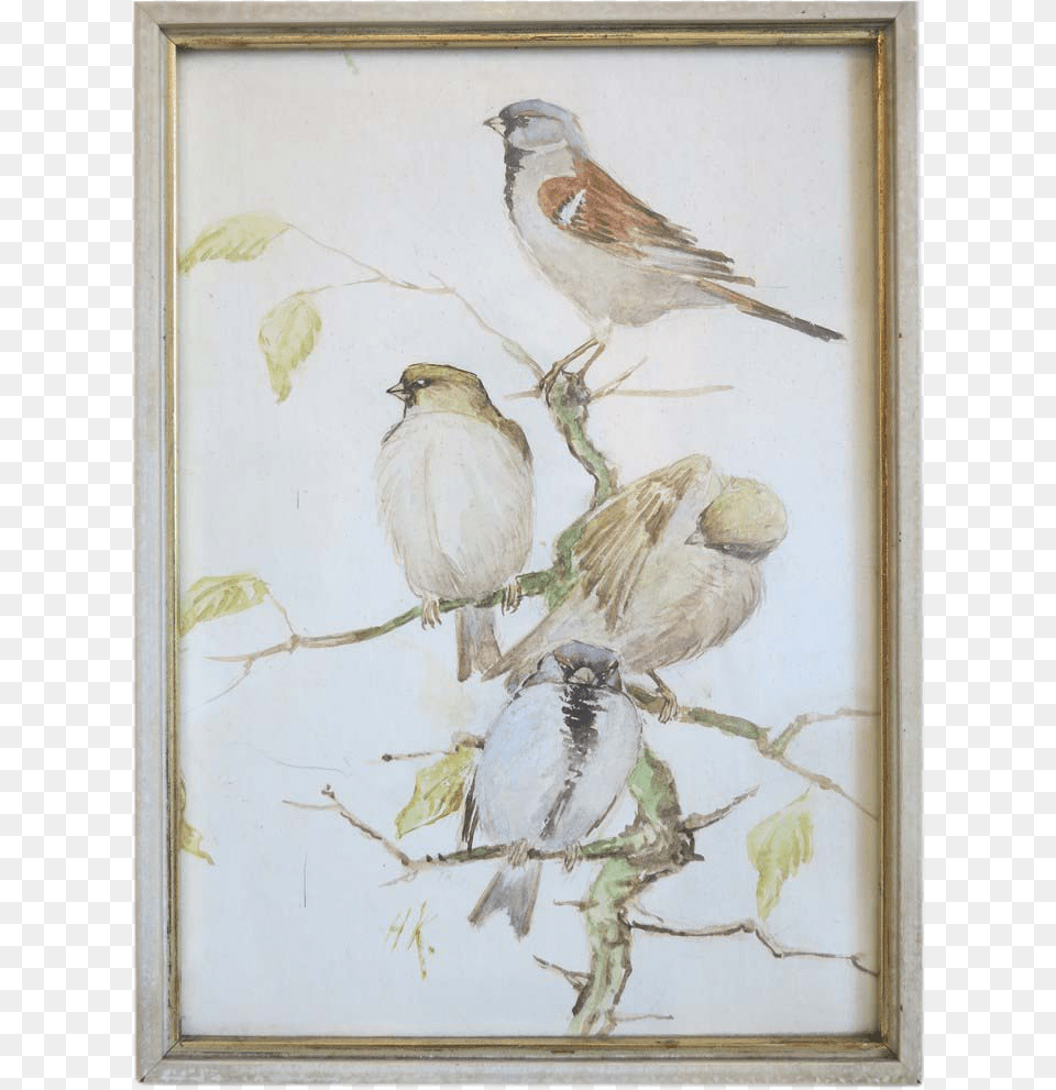 Water Color Painting Depicting A Group Of Birds Ca House Sparrow, Art, Animal, Bird Free Png Download