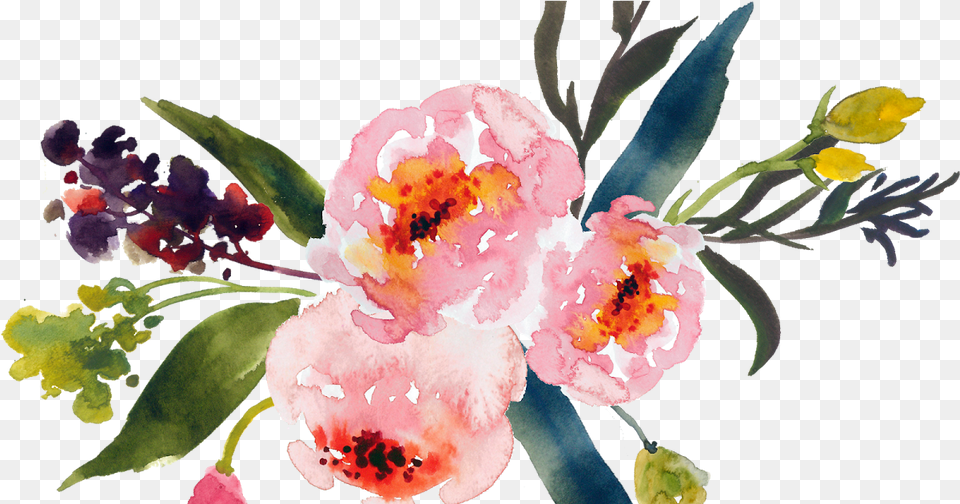 Water Colour Flower 18 Watercolor Transparent Floral Backgrounds, Plant, Art, Pattern, Graphics Png