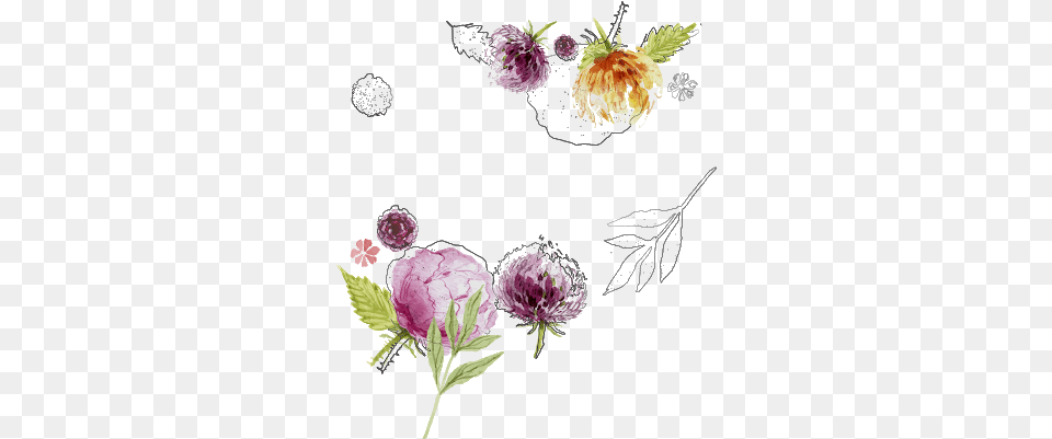 Water Colour Flower 22 Lavanya Fabric Design Watercolor Flowers Vector, Art, Dahlia, Floral Design, Graphics Png