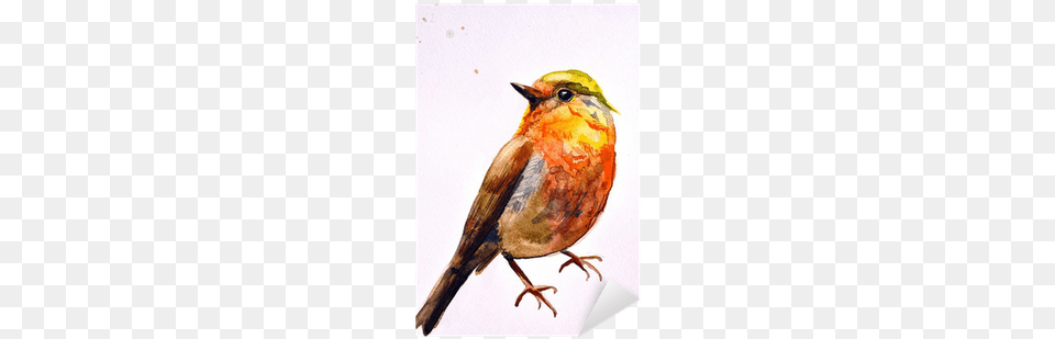 Water Colour Painting Bird Fly, Animal, Beak, Finch, Fish Png