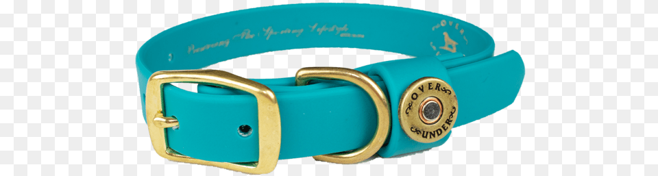 Water Dog Collar Teal Belt, Accessories, Buckle Png