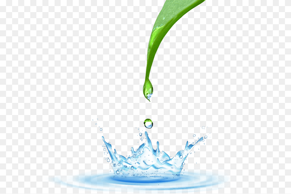 Water Drop, Droplet, Leaf, Plant, Outdoors Free Transparent Png