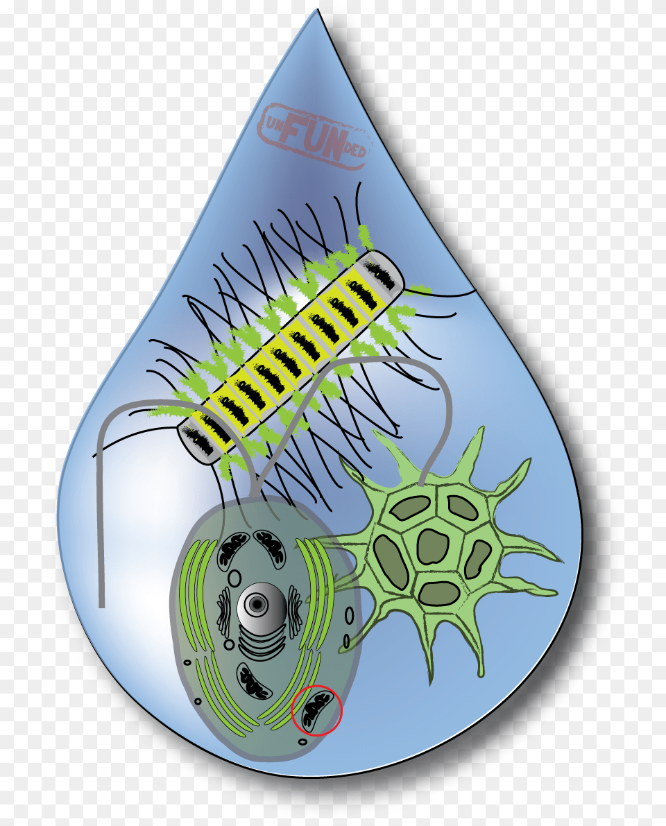 Water Drop Yikes Illustration Full Size Vertical Png Image