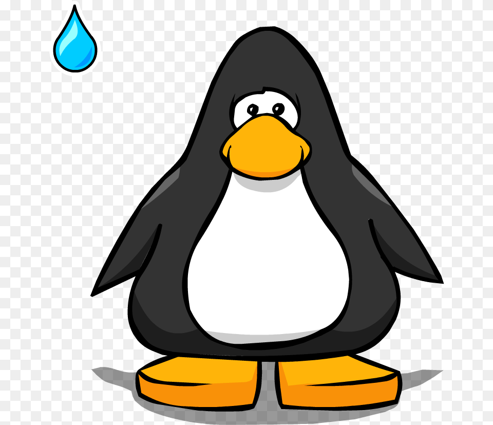 Water Droplet Pc Club Penguin Mini Sombrero, Animal, Bird Free Transparent Png