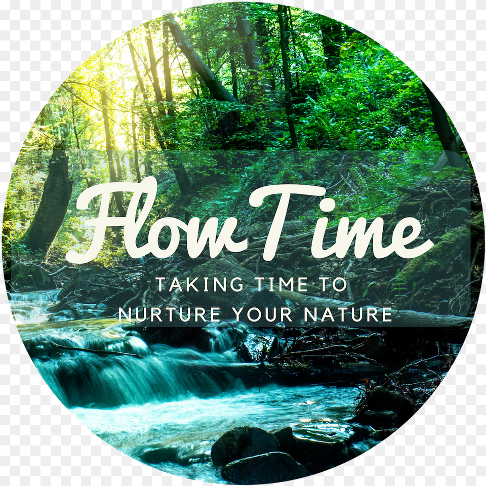 Water Flow Label, Plant, Land, Nature, Outdoors Free Transparent Png