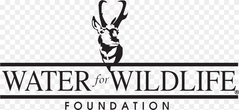 Water For Wildlife Foundation, Animal, Antelope, Gazelle, Mammal Png Image