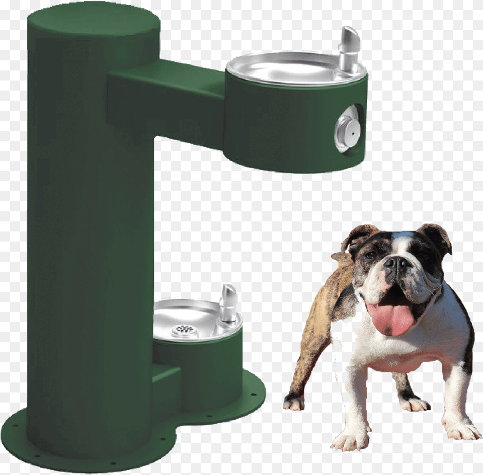 Water Fountain Drink Cool Dual Basin Drinking Water Fountain Outdoor, Architecture, Pet, Mammal, Animal Png Image