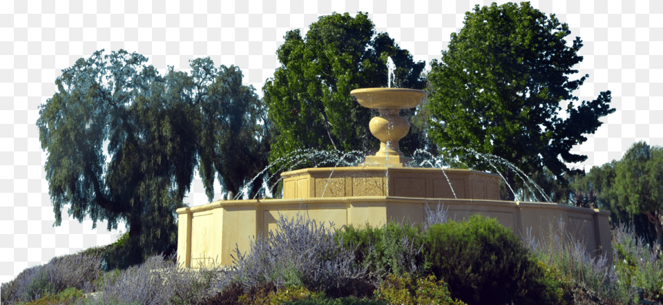 Water Fountain Palm Tree, Architecture Free Png Download