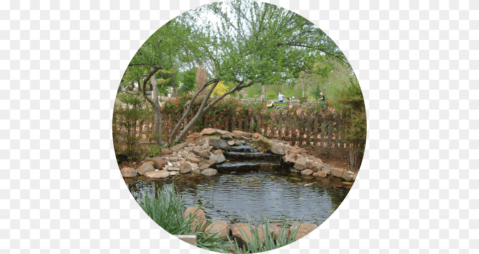 Water Garden The Botanic Garden At Oklahoma State University, Nature, Outdoors, Photography, Pond Free Png Download