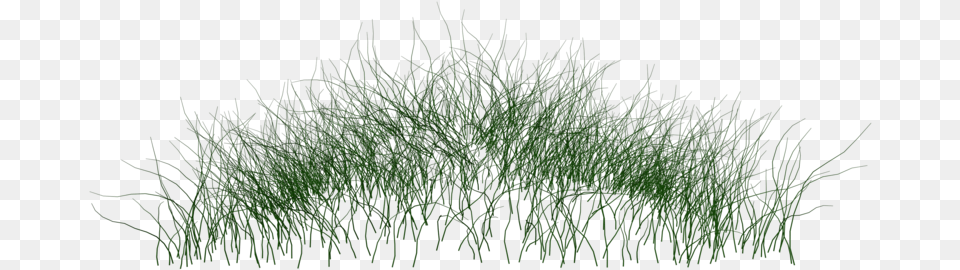 Water Grass 2 Water Plant, Green, Moss, Vegetation, Aquatic Free Transparent Png