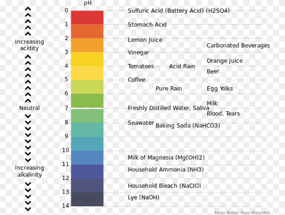 Water Hardness And Ph U2013 Understanding Ingredients For The Ph Is Stomach Acid Free Png
