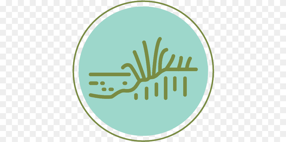 Water Heartlands Conservancy, Cutlery, Logo, Fork Png