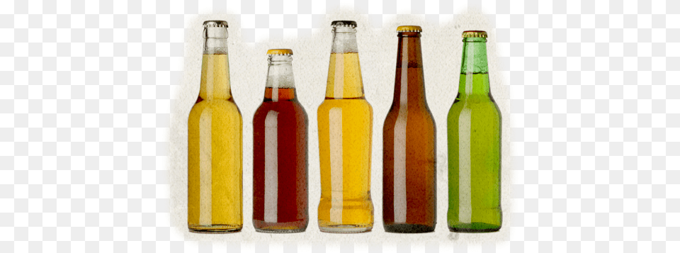 Water Hops And Yeast For Fermentation Empty Beer Bottles Without Labels, Alcohol, Beer Bottle, Beverage, Bottle Free Png