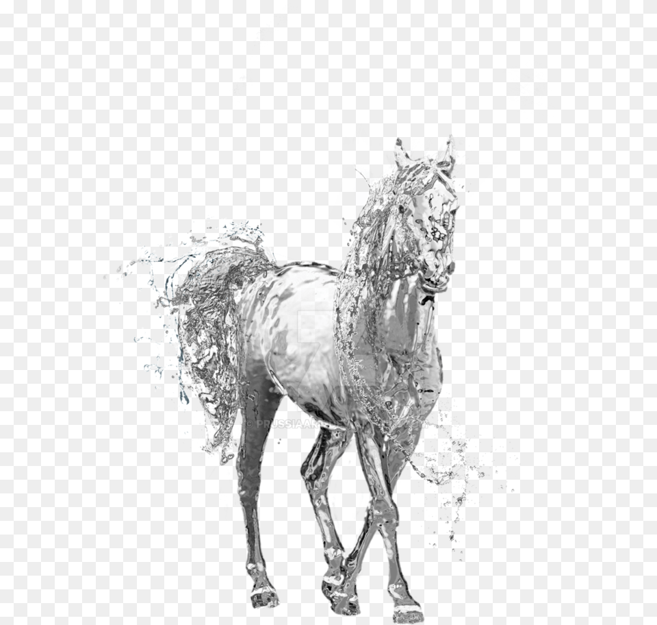 Water Horse Transparent Water Horse Transparent Background, Andalusian Horse, Animal, Mammal, Art Png