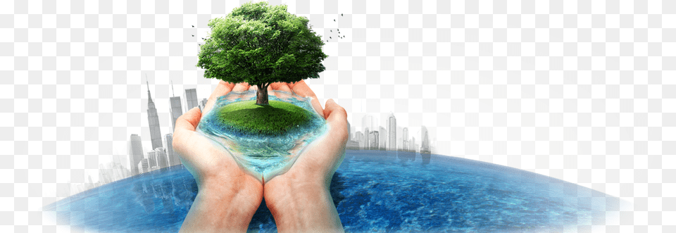 Water In Hand, Photography, Green, Tree, Potted Plant Free Png Download