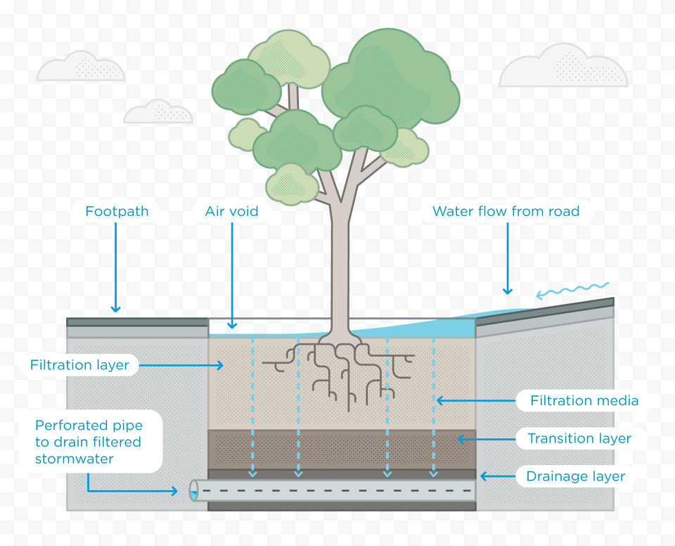 Water Is Diverted From The Gutter An Into The Raingarden Water Footprint, Plant, Tree, Vegetation, Chart Png