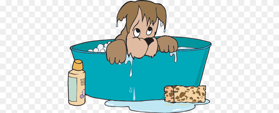 Water Isn39t Just For Drinking It Is Also Used For Dog Bath Rectangle Magnet, Tub, Bathing, Bathtub, Person Free Png