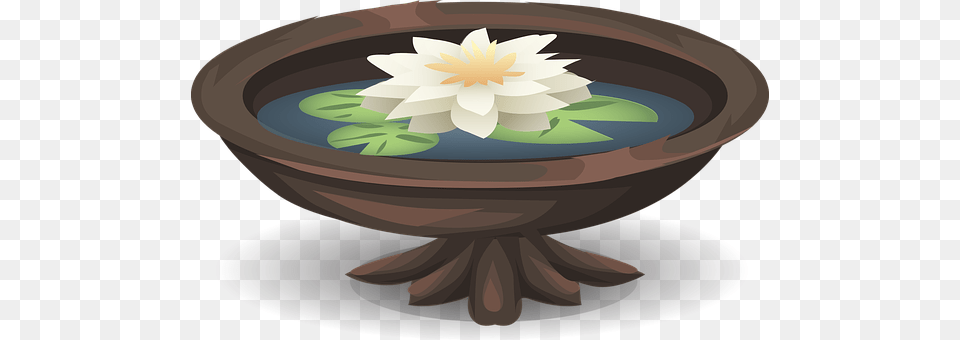 Water Lily Flower, Plant, Food, Meal Free Png