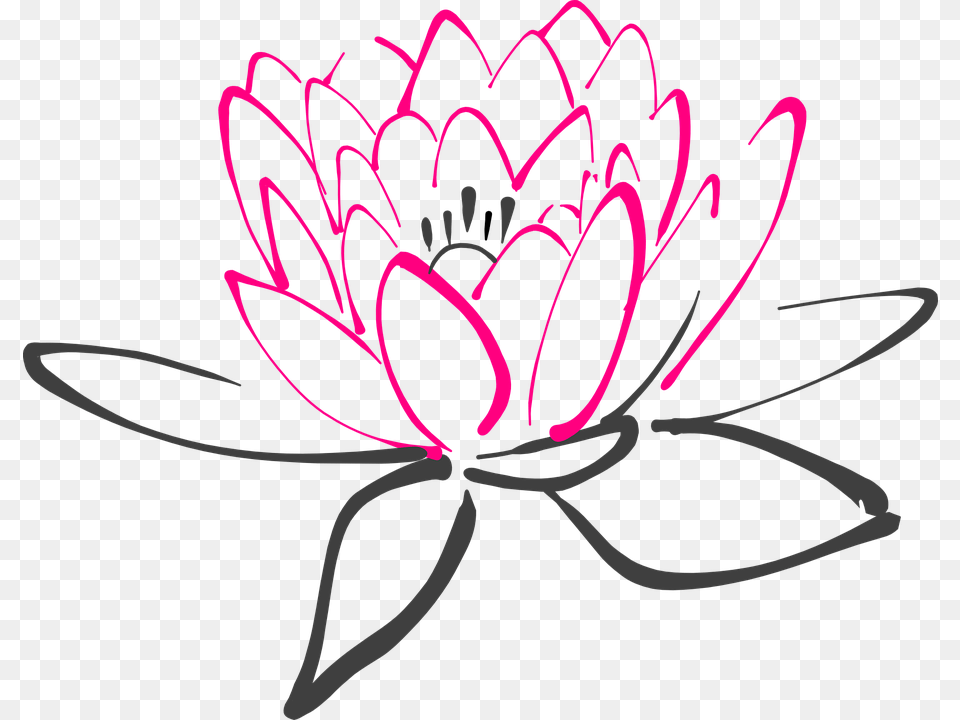 Water Lily Black And White Transparent Water Lily Black, Dahlia, Flower, Plant, Petal Free Png