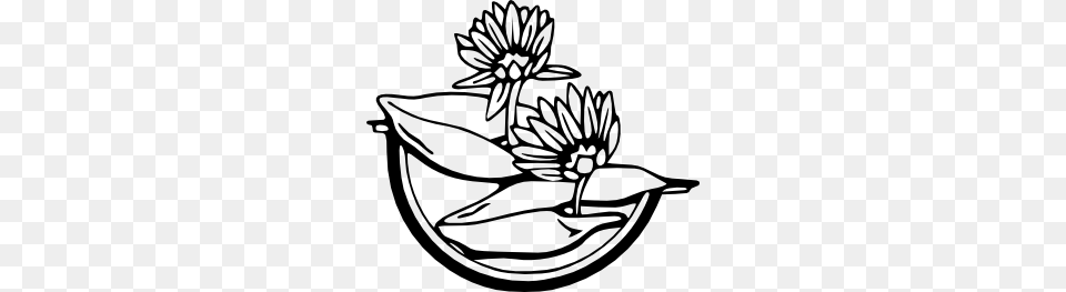 Water Lily Clip Art, Flower, Plant, Smoke Pipe, Dahlia Png Image