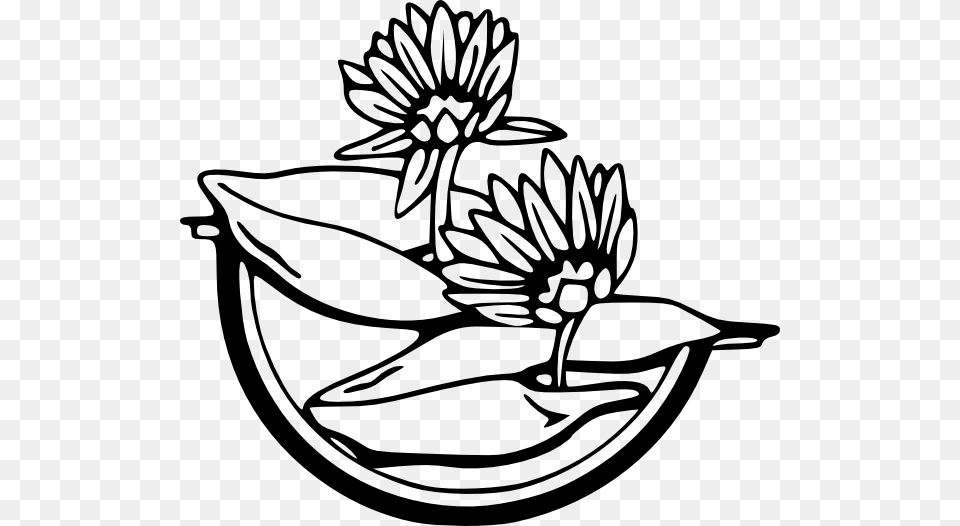 Water Lily Clip Art, Flower, Plant, Dahlia, Daisy Free Png Download