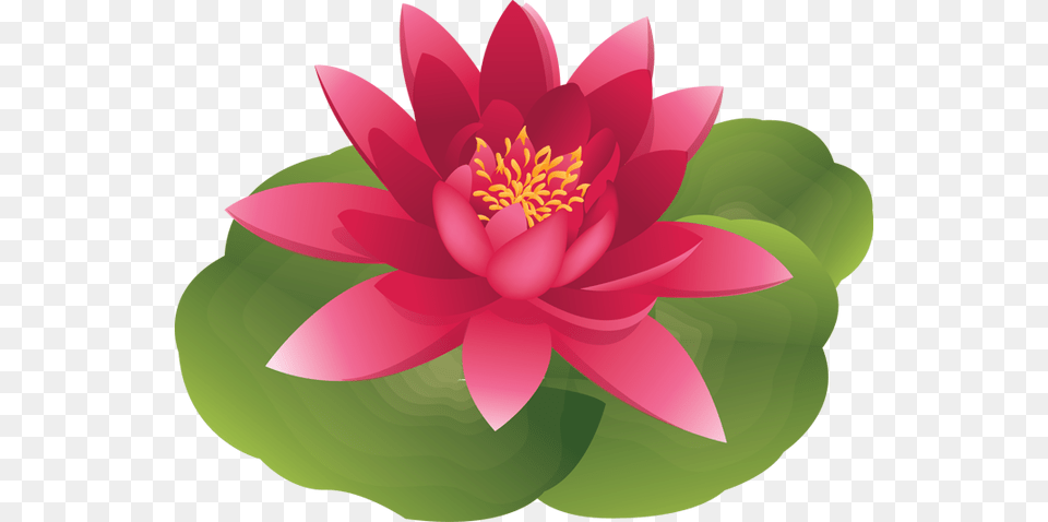Water Lily Clipart Lily Pad, Dahlia, Flower, Plant, Petal Free Png
