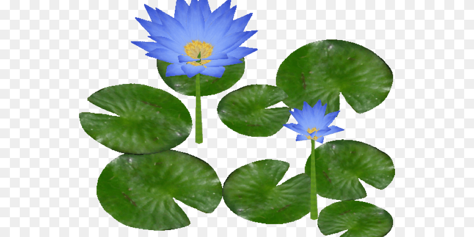 Water Lily Clipart Mart Water Lily Clipart, Flower, Plant, Pond Lily, Leaf Free Png Download