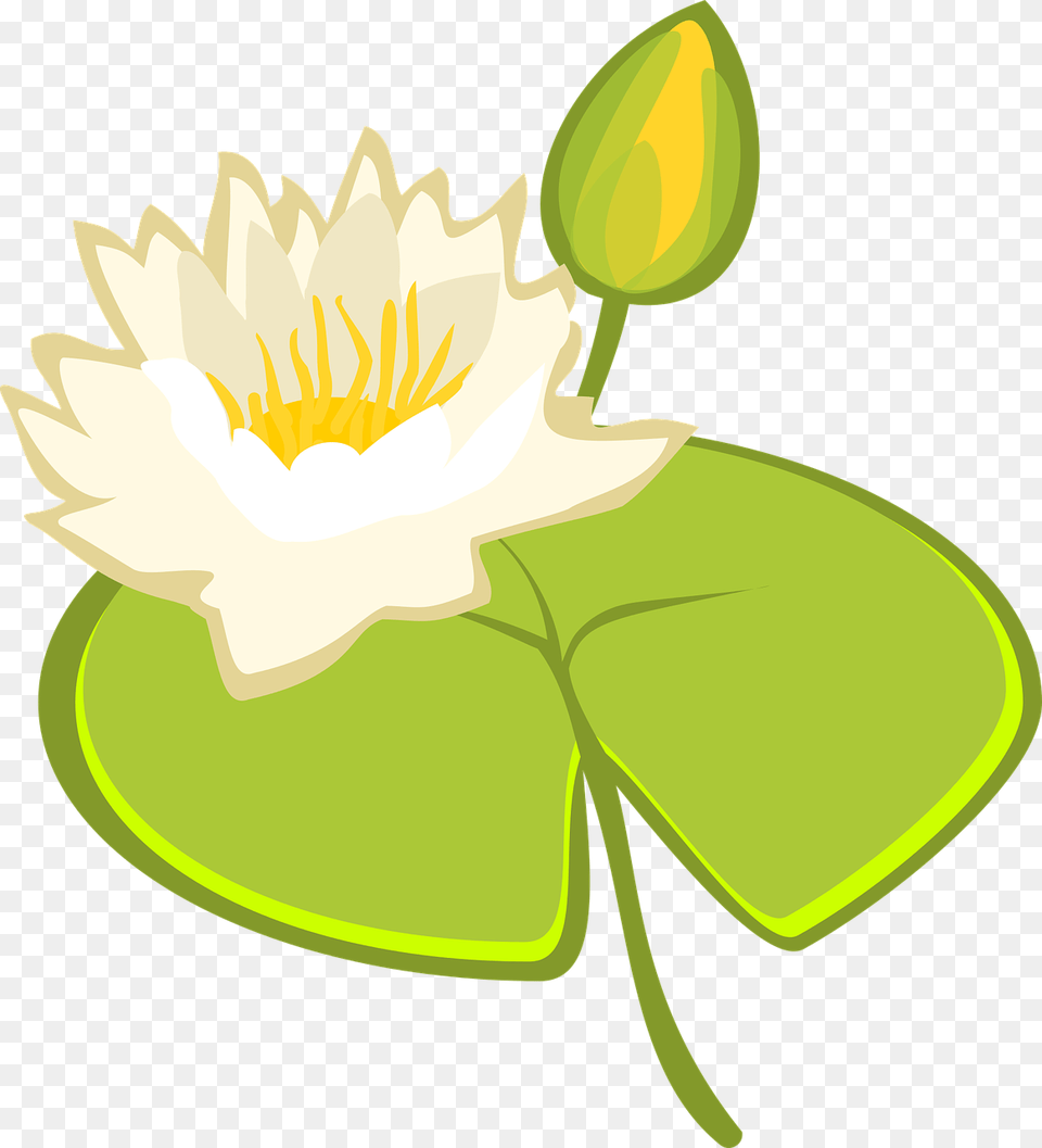 Water Lily Lake Vector Graphic On Pixabay Clip Art, Flower, Plant, Pond Lily Png