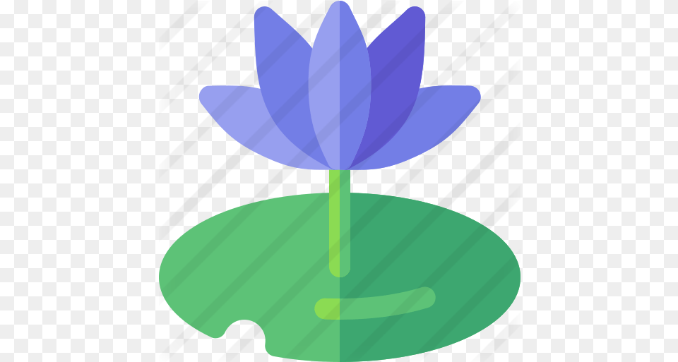 Water Lily Nature Icons Illustration, Flower, Plant, Pond Lily, Animal Free Png Download